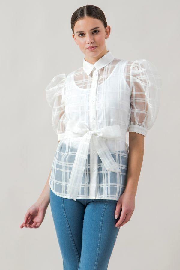 A See-thru Mini Length Organza Top - Pearlara