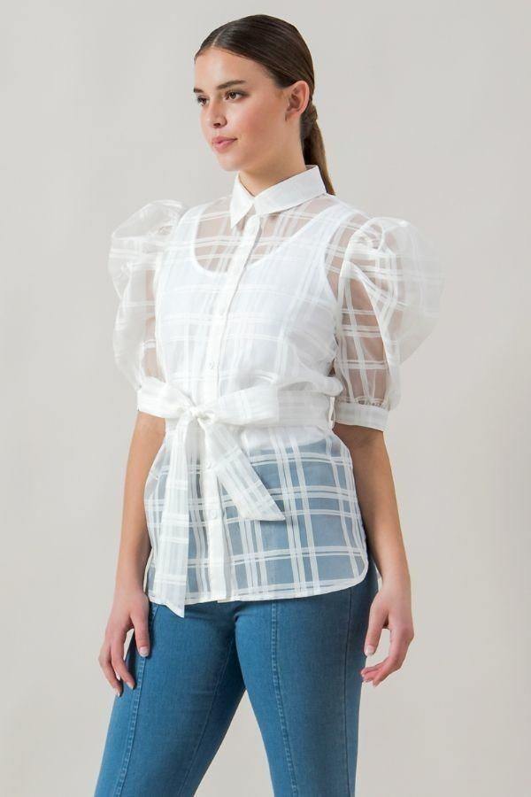 A See-thru Mini Length Organza Top - Pearlara