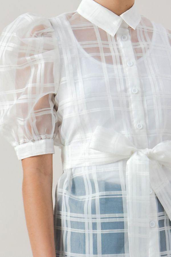 A See-thru Mini Length Organza Top - Pearlara