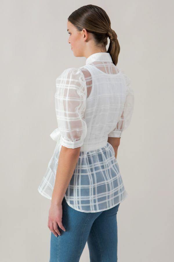 A See-thru Mini Length Organza Top - Pearlara